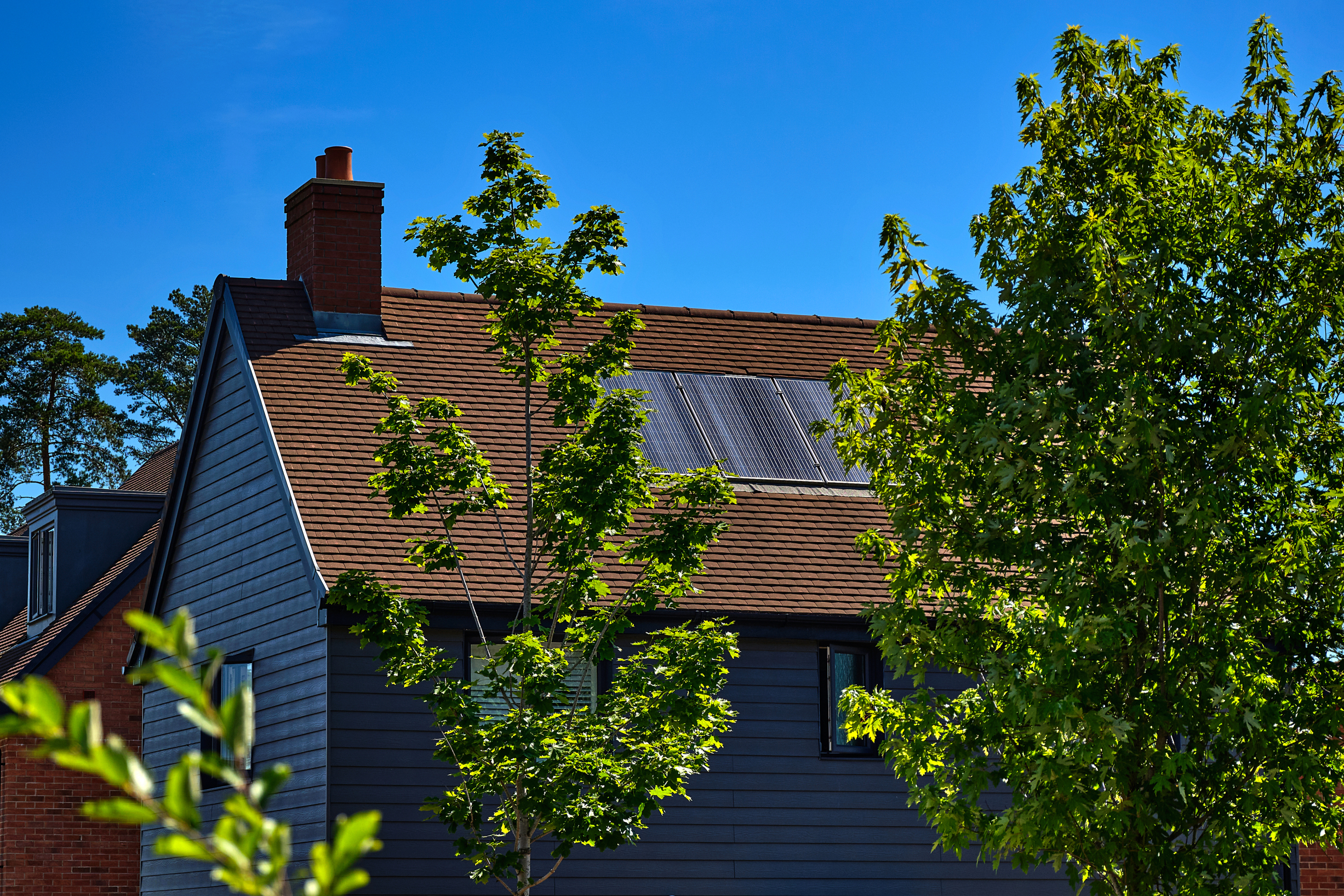 All homes will be equipped with solar panels.
